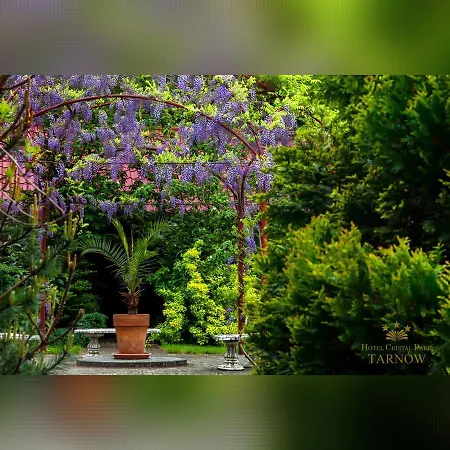 Cristal Park Hotel 3*